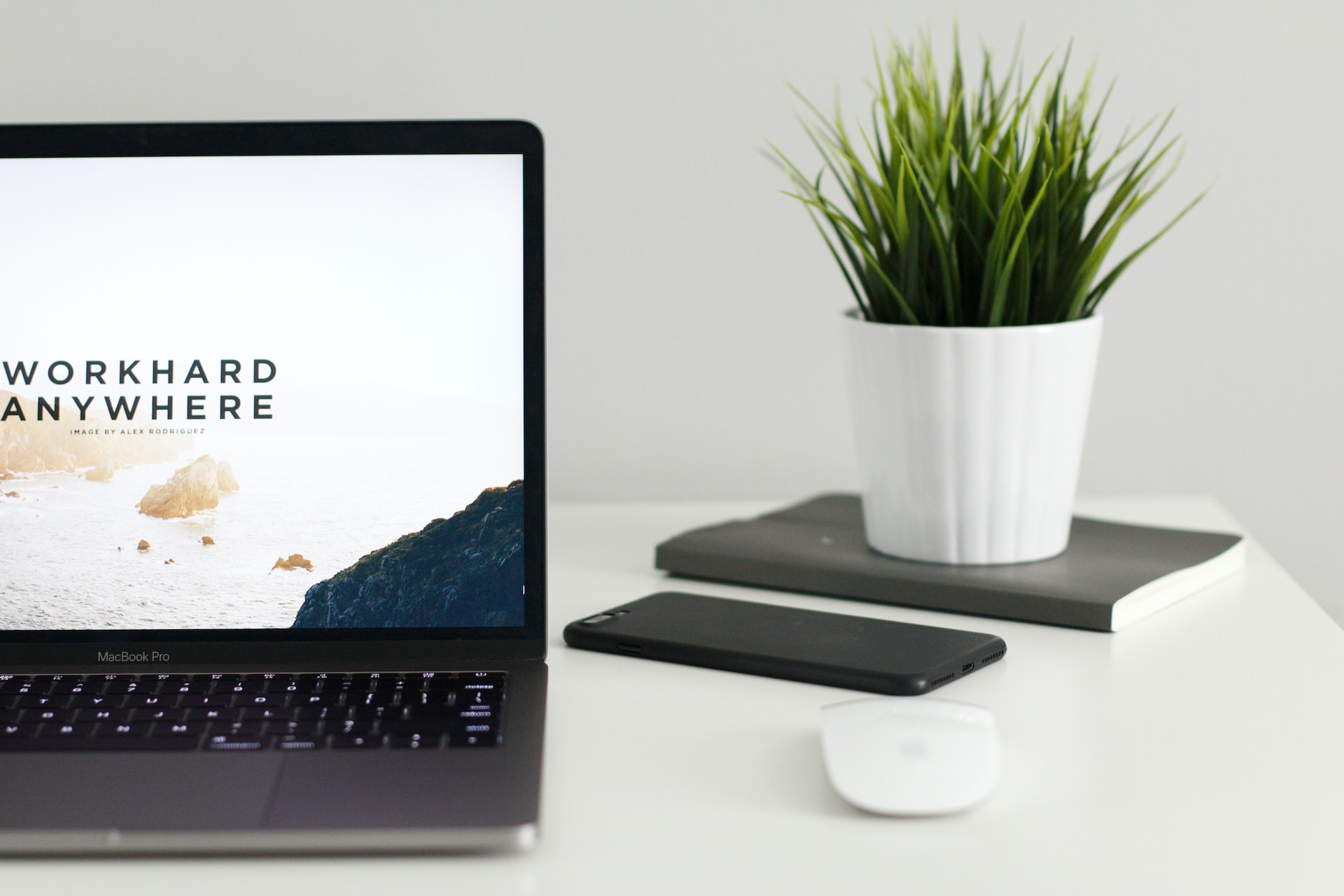 plant and a laptop for web design